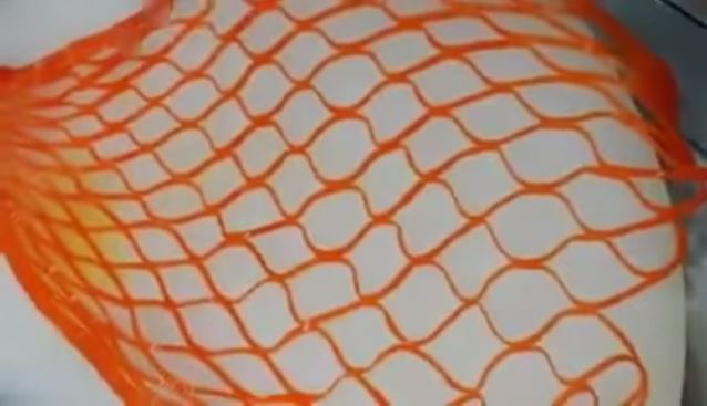 Φτιάξτε δίχτυ από… καρότο – ΒΙΝΤΕΟ
