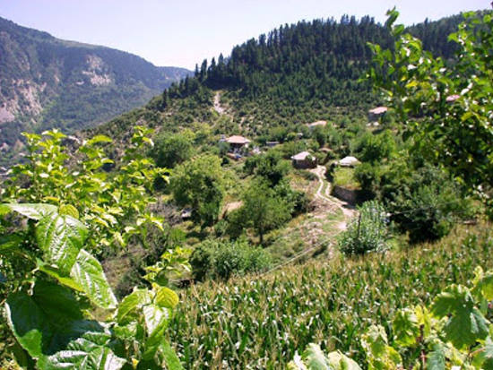 Εκκένωση οικισμού στην ορεινή Ναυπακτία