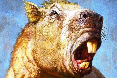 Προϊστορικό τρωκτικό δάγκωνε σαν κροκόδειλος