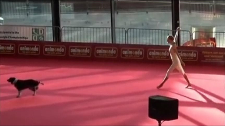 O χορός του σκύλου που σαρώνει στο διαδίκτυο – ΒΙΝΤΕΟ