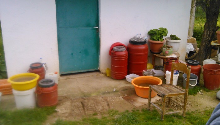 Της έφαγαν τα αφτιά… ποντίκια – ΦΩΤΟ