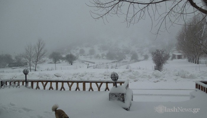 Στα “λευκά” ο Ομαλός – ΦΩΤΟ