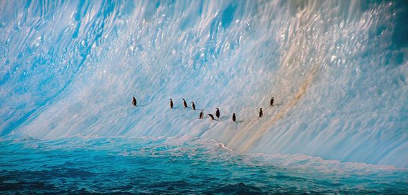 Τι υπάρχει κάτω από τα παγόβουνα – ΦΩΤΟ