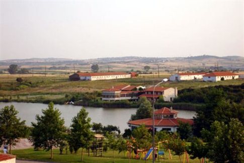 Χτύπησε γάτα με ξύλο μέχρι θανάτου