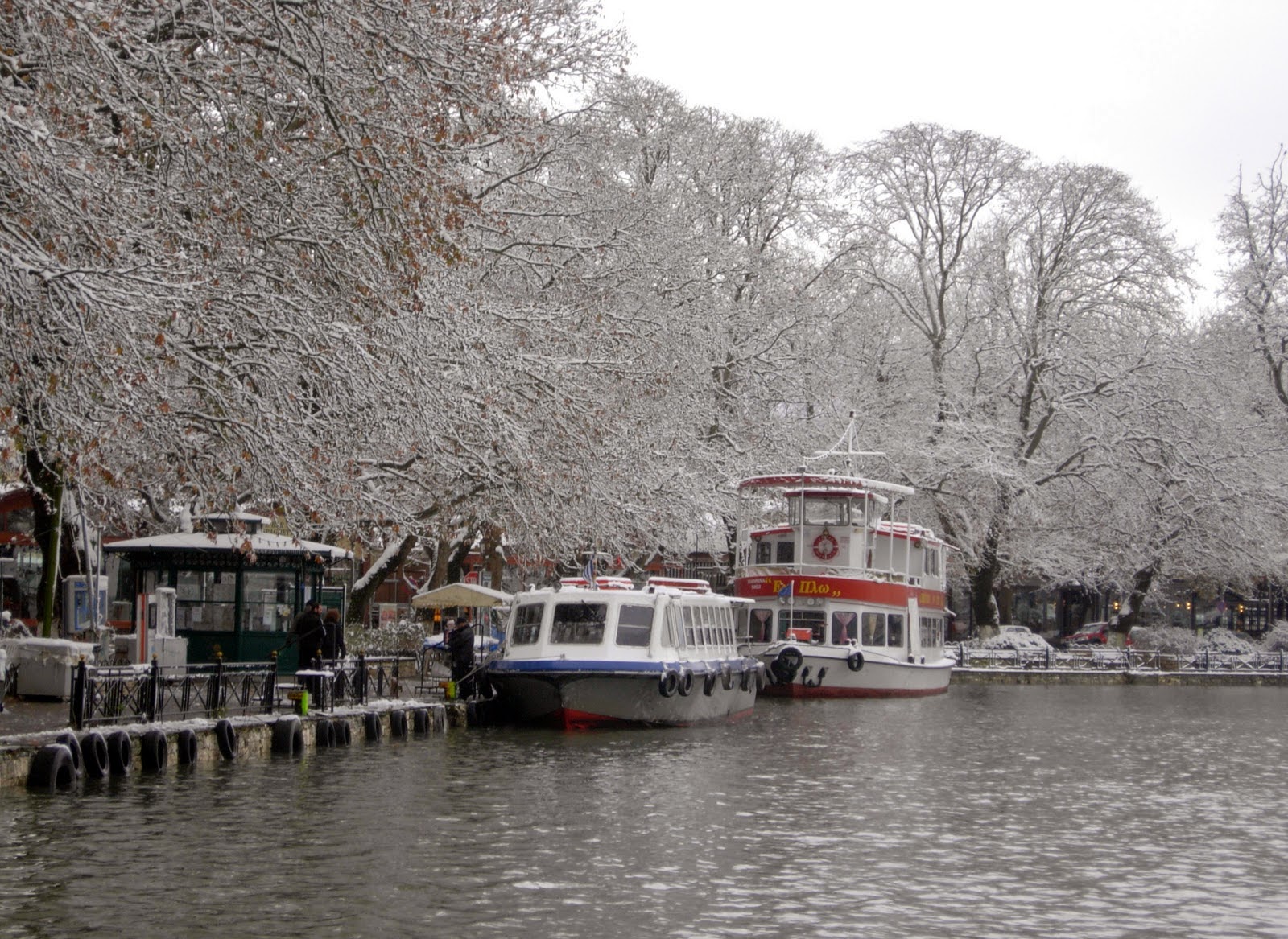 Σφοδρή χιονόπτωση στα Γιάννενα – ΤΩΡΑ