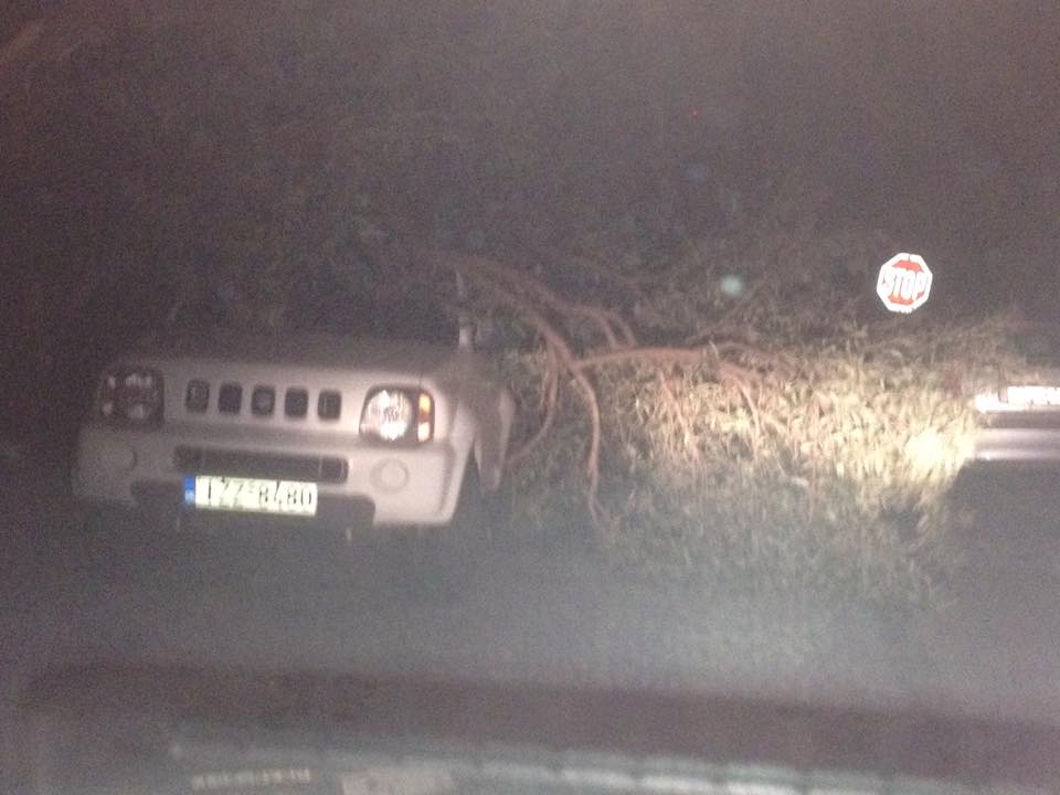 Λέσβος: Πτώσεις δέντρων και διακοπές ρεύματος – ΒΙΝΤΕΟ