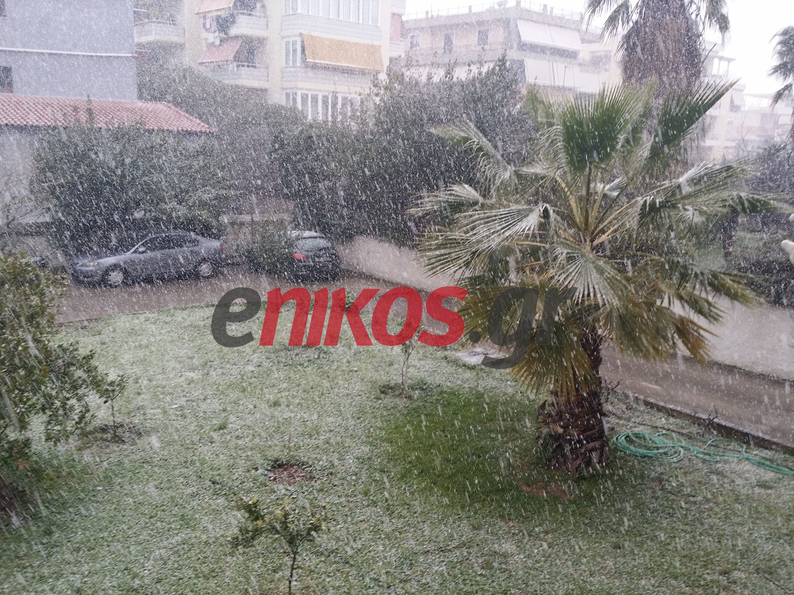 Έντονη χιονόπτωση και στη Γλυφάδα – ΦΩΤΟ αναγνώστη