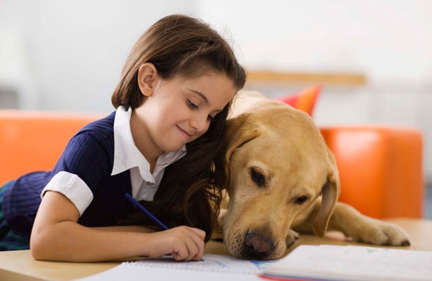 Ο “Αδέσποτος” πάει σχολείο