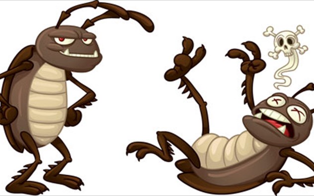 Οι κατσαρίδες έχουν προσωπικότητα