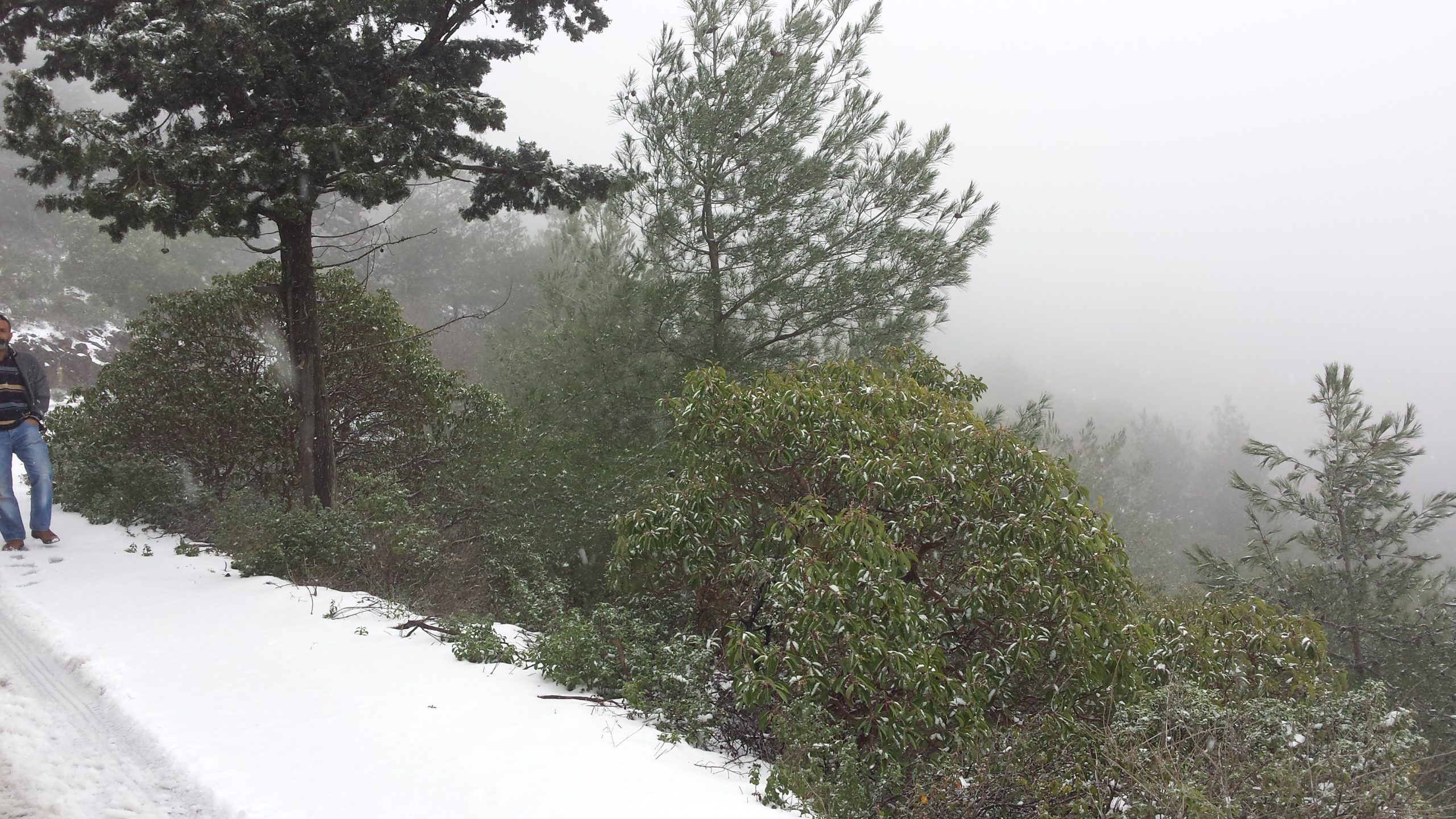 Στα λευκά και η Κύπρος – ΦΩΤΟ