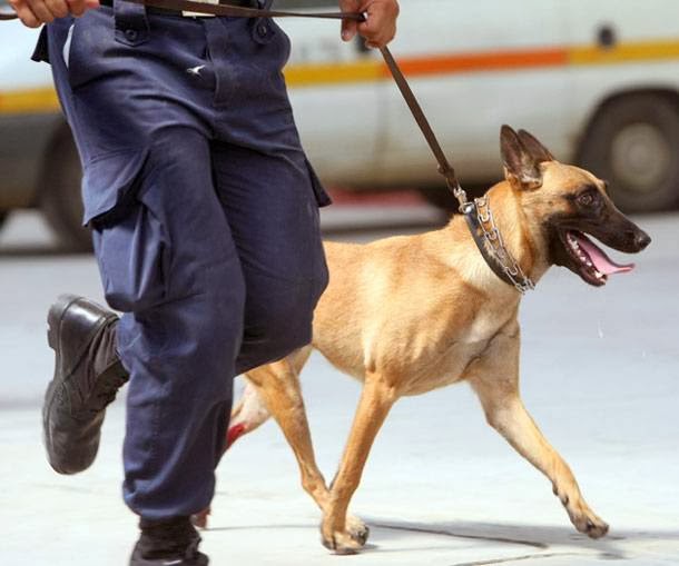 Θεσσαλονίκη – Σκύλος “συνέλαβε” 38χρονο για εμπορία ναρκωτικών