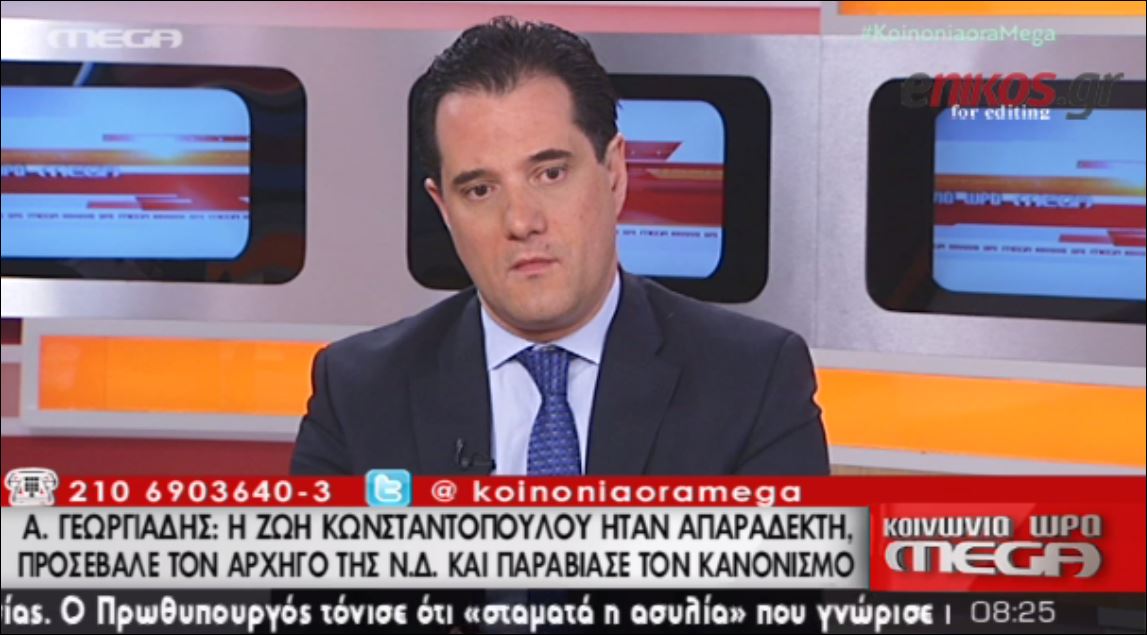 Γεωργιάδης: Απαράδεκτη η Κωνσταντοπούλου – ΒΙΝΤΕΟ