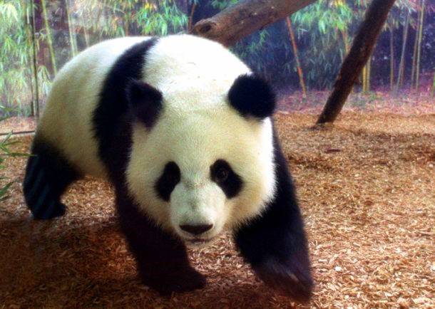 Κίνα – Αυξήθηκαν τα… πάντα