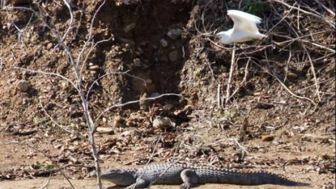 Γέμισε το Twitter με “RIP Σήφης”