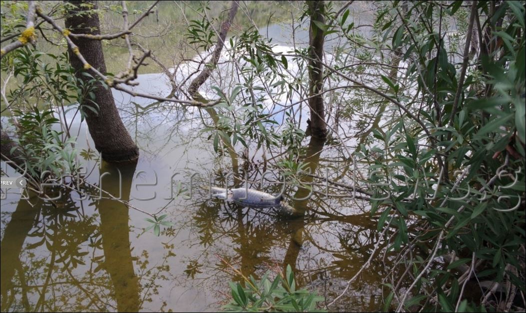 Ο Ελληνικός χειμώνας σκότωσε τον Σήφη – ΦΩΤΟ