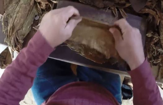 Πως φτιάχνεται το αυθεντικό κουβανέζικο πούρο – ΒΙΝΤΕΟ