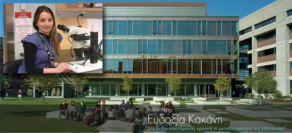 Ελληνίδα επιστήμονας ερευνά τη μεταδοτικότητα της ελονοσίας