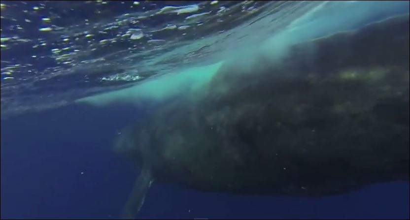 Τι να μην κάνετε όταν βρεθείτε στη… θέση της – ΒΙΝΤΕΟ