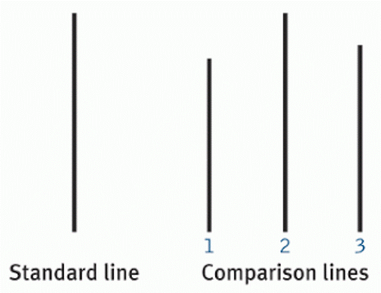 Πείραμα για τη… συμμόρφωση – ΒΙΝΤΕΟ