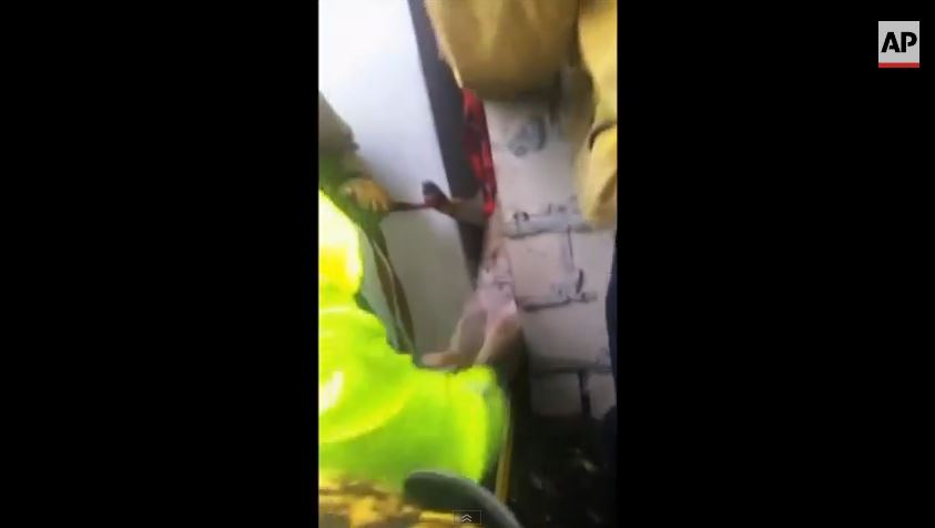 SOS σκύλου προς πυροσβέστες – ΒΙΝΤΕΟ