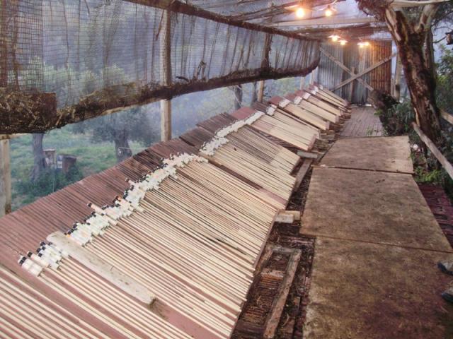 Κατάσχεση ρουκετών στη Χίο