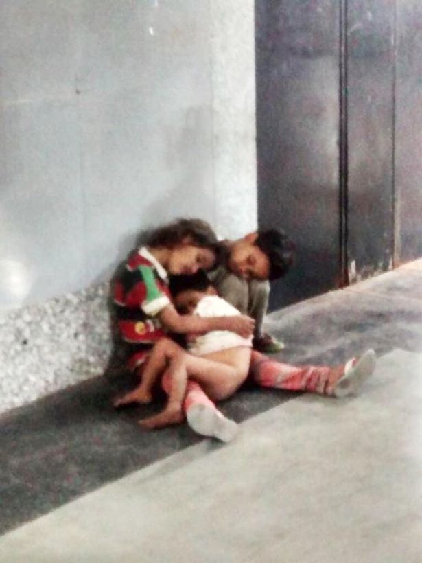 Μέσω ενός tweet επέστρεψαν στη μητέρα τους – ΒΙΝΤΕΟ- ΦΩΤΟ