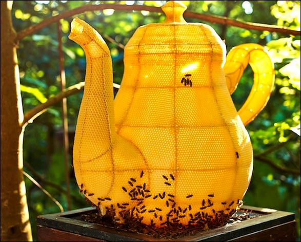 Κυψέλη σε σχήμα… τσαγιέρας – ΦΩΤΟ