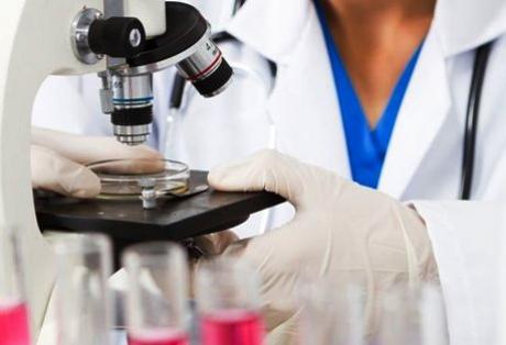 “Φύτεψαν” ψεύτικες αναμνήσεις σε πειραματόζωα