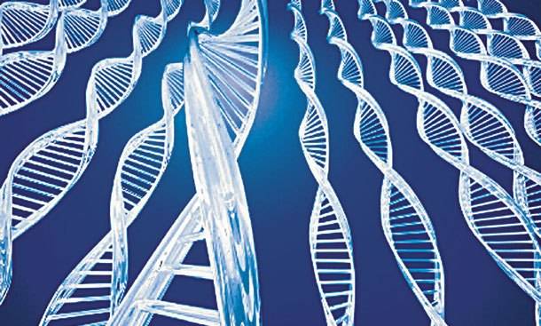 Έρευνα – Τα γονίδια του πατέρα υπερισχύουν των γονιδίων της μητέρας