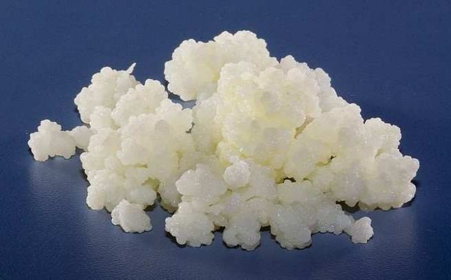 Κεφίρ: Δείτε ένα από τα μυστικά της μακροζωίας