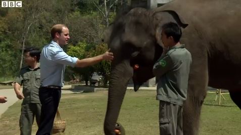 Ο πρίγκιπας Ουίλιαμ και οι ελέφαντες – ΒΙΝΤΕΟ