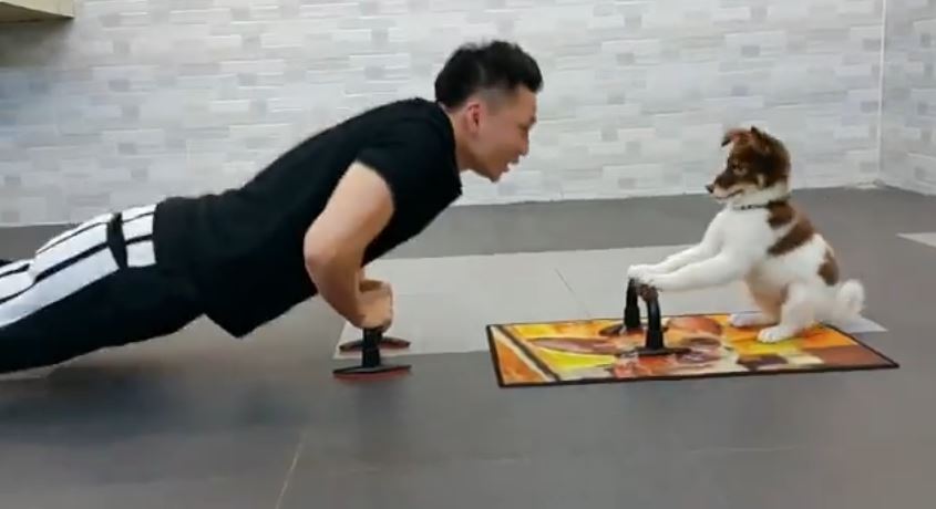 Το κουτάβι που κάνει.. πους απς – ΒΙΝΤΕΟ