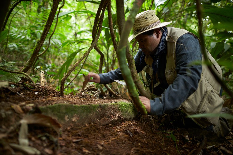Στο φως δονητής 250 ετών