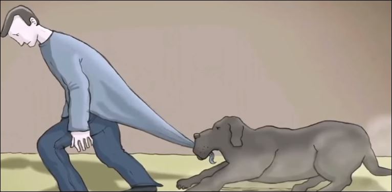 Η ιστορία του “μαύρου σκύλου” – Ένα μάθημα για την κατάθλιψη – ΒΙΝΤΕΟ