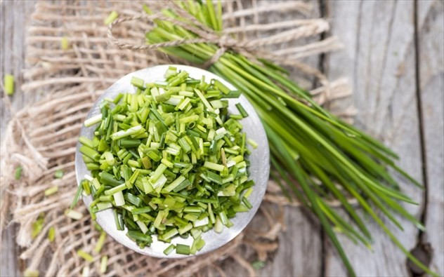 Το “ταπεινό” υπερβότανο που προστατεύει από τον καρκίνο