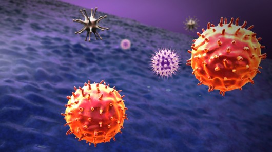 Πρωτεΐνη ενισχύει την ανοσία στον καρκίνο και τους ιούς