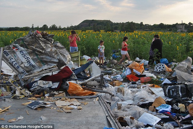 Comfort: Clement said his family took heart that Mabel passed away in a field of sunflowers (above then and below, now). He said: 'I told my mum that Mabel passed away in a field of sunflowers. She adored sunflowers. And God took her away in the a field of sunflowers'
