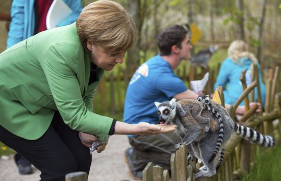 Μέρκελ η… φιλόζωη – ΦΩΤΟ