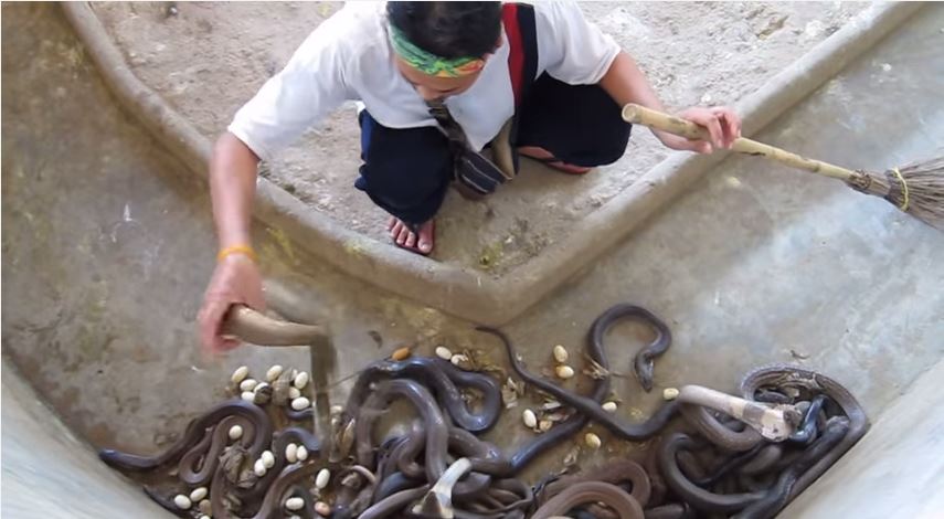 Εσύ θα έκανες αυτό το επάγγελμα;- ΒΙΝΤΕΟ