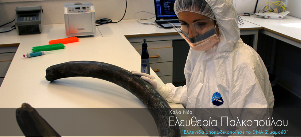 Ελληνίδα αποκωδικοποίησε το DNA δύο μαμούθ