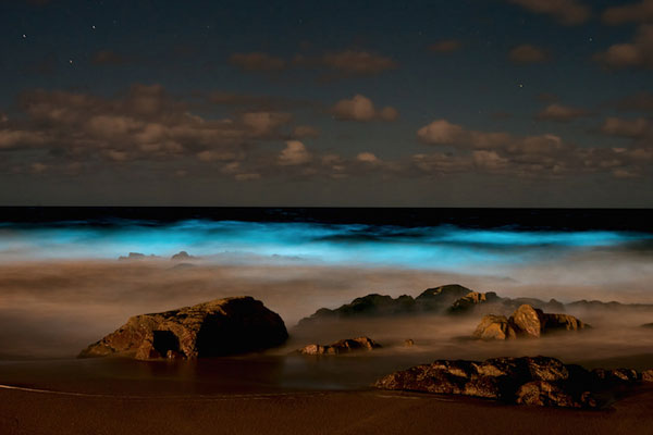 Όταν η θάλασσα… φωσφορίζει – ΦΩΤΟ
