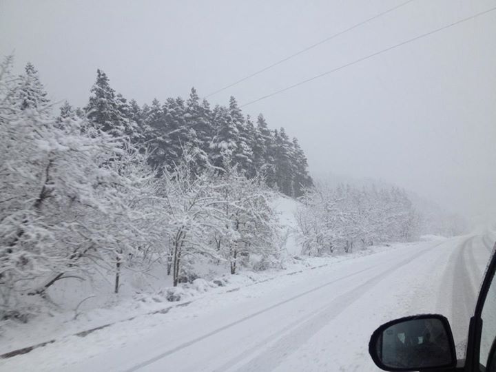 Ο Μπακογιάννης εύχεται… “Καλά Χριστούγεννα” – ΦΩΤΟ