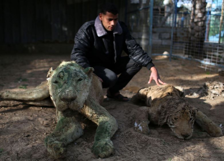 Με αλεξίπτωτο στο χειρότερο ζωολογικό πάρκο του κόσμου – ΒΙΝΤΕΟ