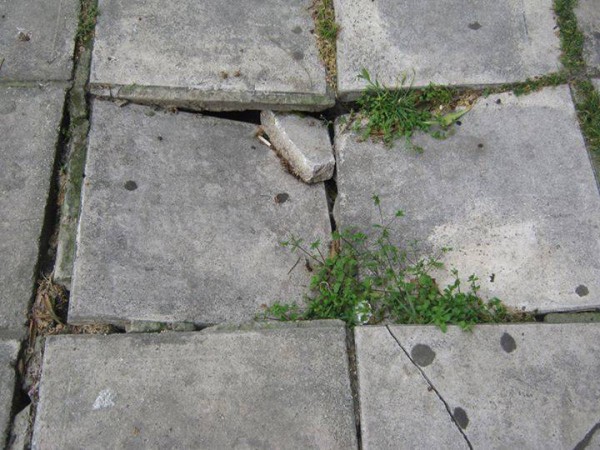 Αθωώθηκαν αντιδήμαρχοι που κατηγορούνταν για τον τραυματισμό πεζής