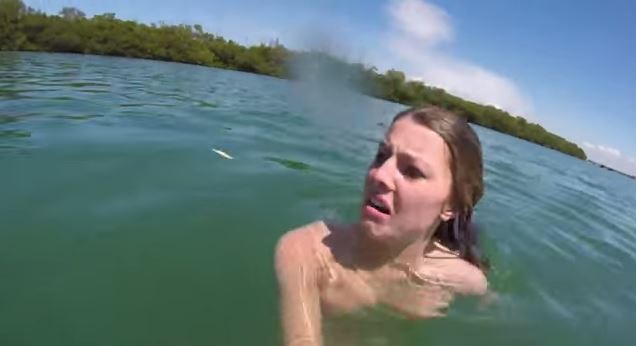 Παραλίγο έμφραγμα για την κολυμβήτρια που την πλησίασε ένα… κήτος- ΒΙΝΤΕΟ