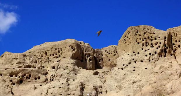Εντυπωσιακό θέαμα από χελιδονοφωλιές στη Ξάνθη- ΒΙΝΤΕΟ