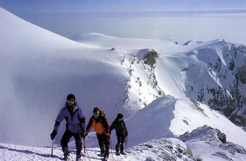 Διασώθηκαν ορειβάτες στην Αλάσκα
