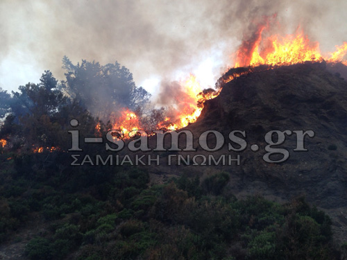 Στάχτη έγιναν 2.000 στρέμματα δασικής έκτασης στη Σάμο- ΒΙΝΤΕΟ