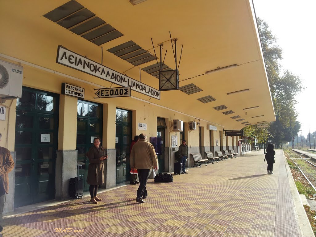 ΤΡΑΙΝΟΣΕ: Διακοπή κυκλοφορίας στο τμήμα Λειανοκλάδι-Λαμία-Στυλίδα