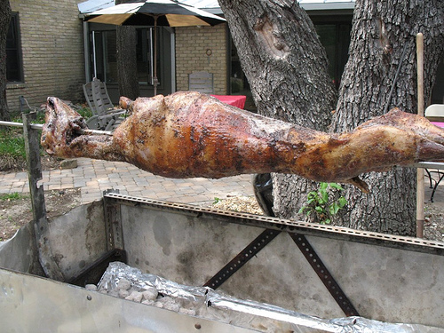 Το “διάβασμα” της σπάλας του αρνιού